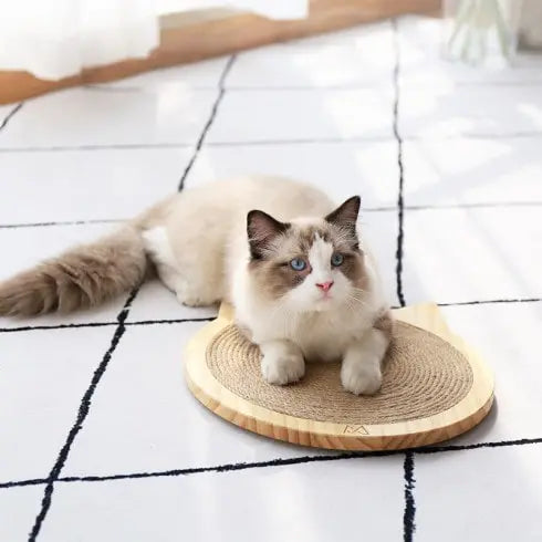 Griffoir pour chat Tête de chat à fixer par ventouses