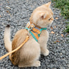 Harnais pour chat "Petit Aventurier"