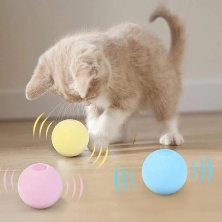 Balle pour chat