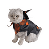 Costume pour chat "Sorcière" accessoires chat Au bonheur du chat - Boutique d'accessoires pour votre chat