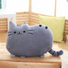 Coussin chat mignon accessoires chat Au bonheur du chat - Boutique d'accessoires pour votre chat Gris