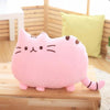 Coussin chat mignon accessoires chat Au bonheur du chat - Boutique d'accessoires pour votre chat Rose