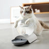 fontaine à eau pour chat grise, saine et silencieuse, élégante, au bonheur du chat