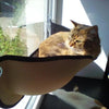 hamac pour chat, hamac chat, hamac de fenetre pour chat, doux et confortable