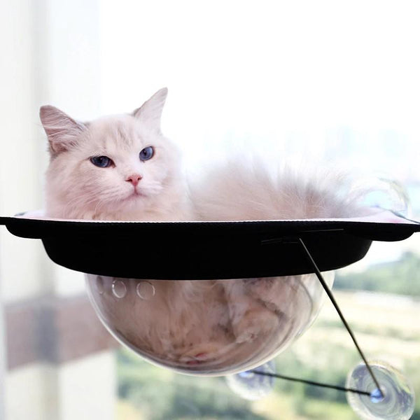 Hamac de fenêtre transparent "Tête de chat" hamac pour chat Au bonheur du chat - Boutique d'accessoires pour votre chat