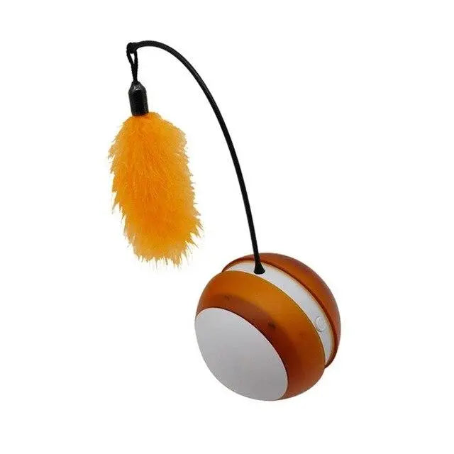 Jouet électrique pour chat "Attrape-moi" accessoires chat Au bonheur du chat - Boutique d'accessoires pour votre chat Orange