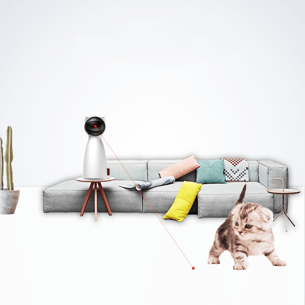 Jouet pour chat "Chat Laser" accessoires chat Au bonheur du chat - Boutique d'accessoires pour votre chat