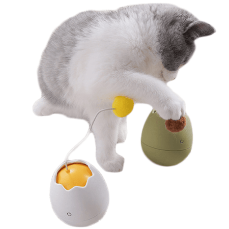 Jouet pour chat