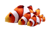 Jouet pour chat "Poisson" accessoires chat Au bonheur du chat - Boutique d'accessoires pour votre chat Variante 4 60cm