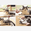 Masseur pour chat "CatRelax™" masseur pour chat Au bonheur du chat - Boutique d'accessoires pour votre chat