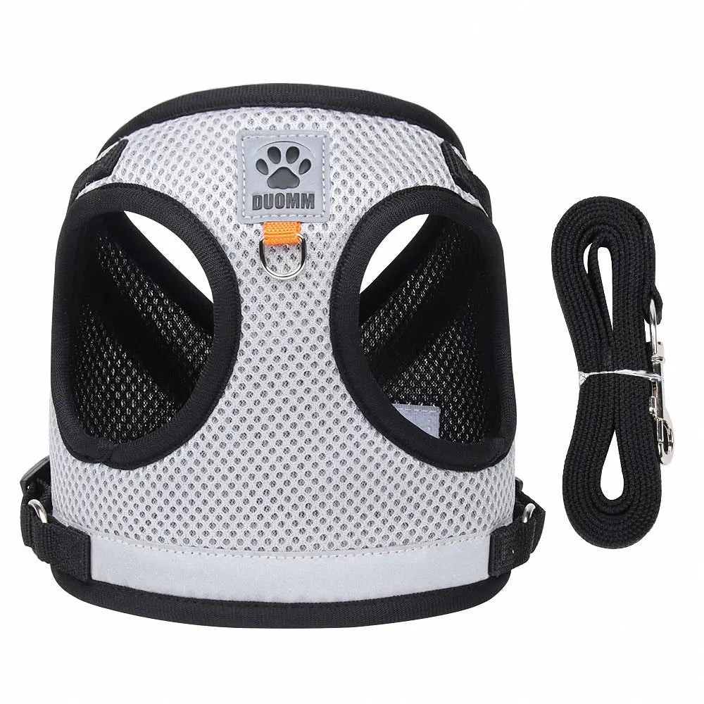 Harnais pour chat "ExtraCool" Au bonheur du chat - Boutique d'accessoires pour votre chat
