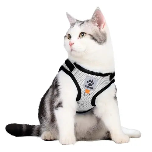 Harnais pour chat "ExtraCool" Au bonheur du chat - Boutique d'accessoires pour votre chat