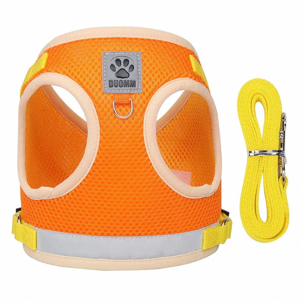 Harnais pour chat "ExtraCool" Au bonheur du chat - Boutique d'accessoires pour votre chat