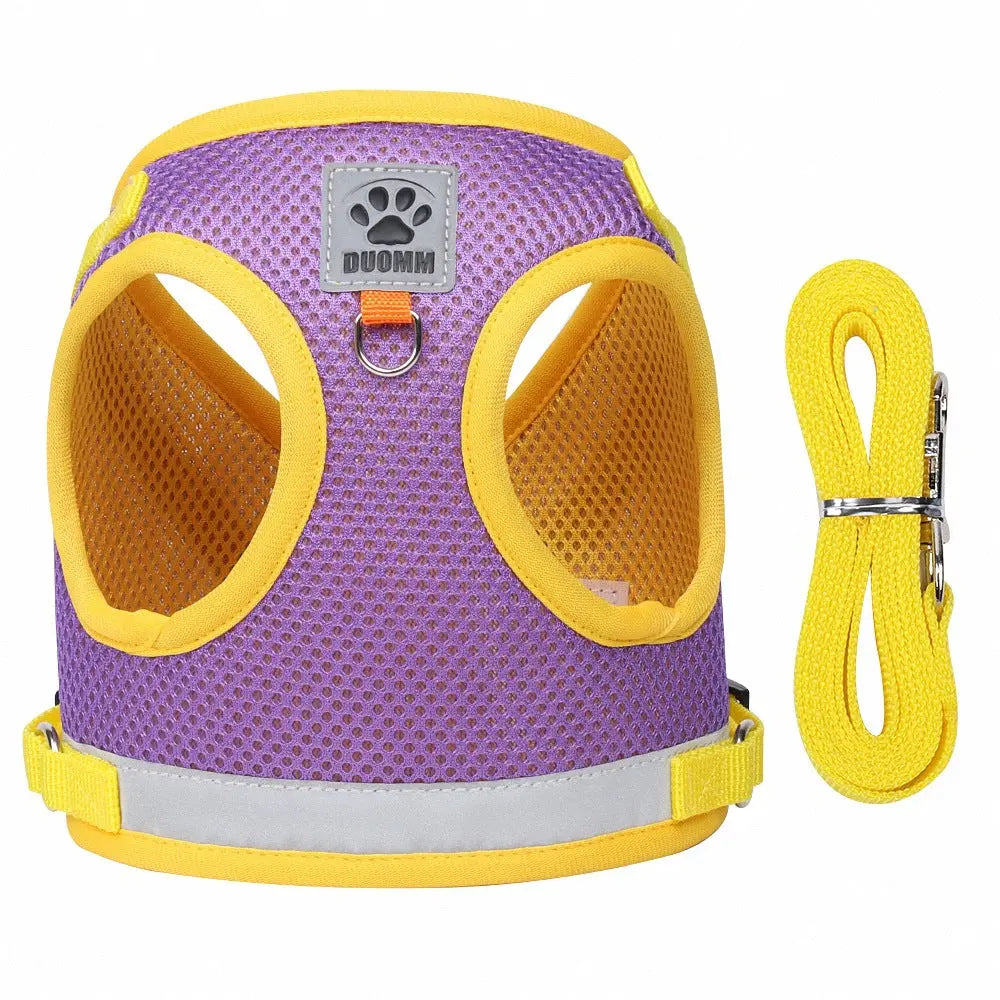 Harnais pour chat "ExtraCool" Au bonheur du chat - Boutique d'accessoires pour votre chat