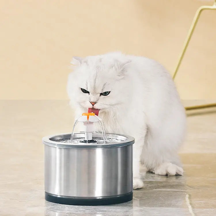 Fontaine à eau pour chat "Fleur" Version Métal Au bonheur du chat - Boutique d'accessoires pour votre chat