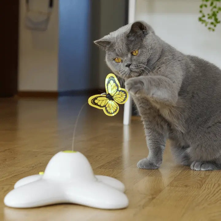 Jouet pour chat PapilloCat™ Au bonheur du chat - Boutique d'accessoires pour votre chat