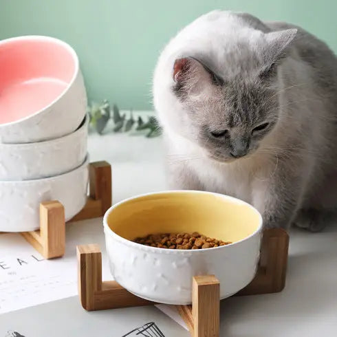 Gamelle pour chat avec support CeraBowl™ Au bonheur du chat - Boutique d'accessoires pour votre chat