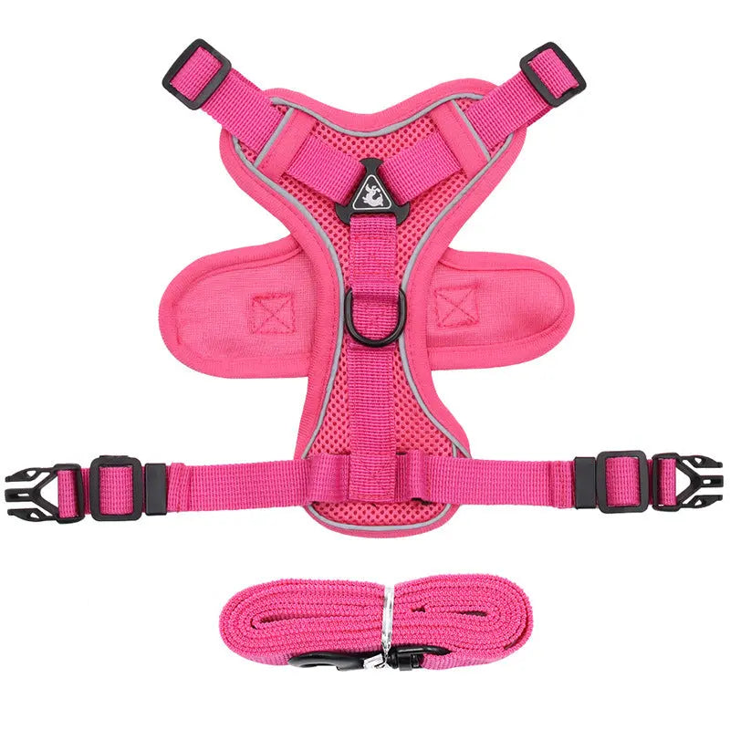 Harnais pour chat Trifecta Au bonheur du chat - Boutique d'accessoires pour votre chat