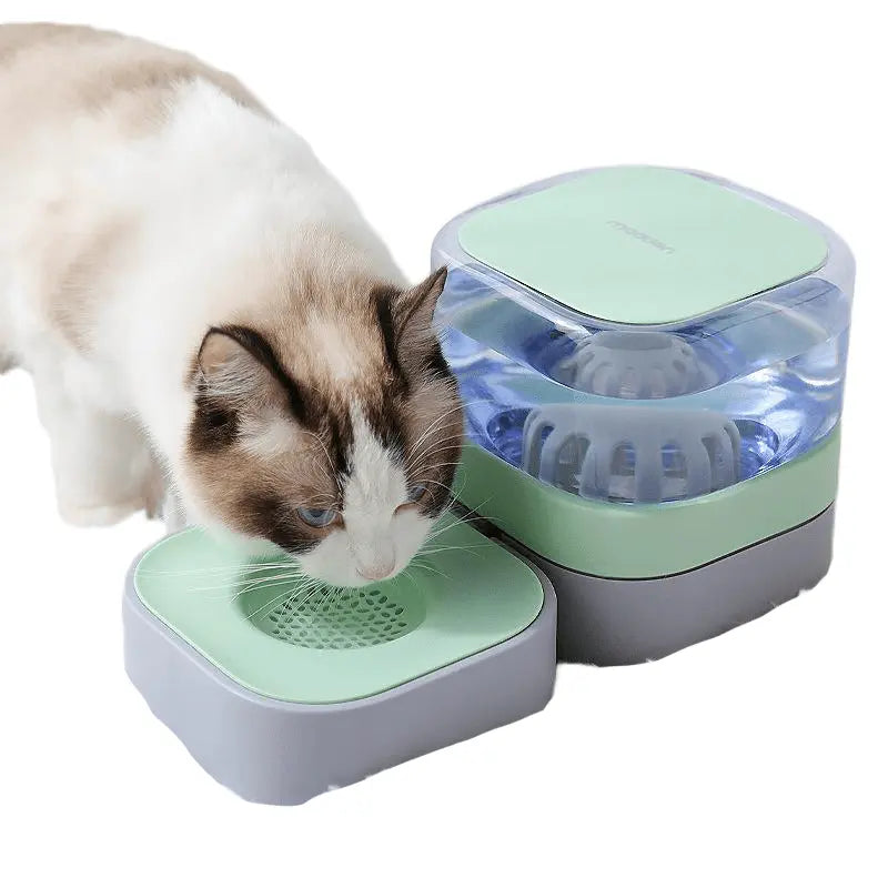 Fontaine à eau pour chat SquareCat avec filtre à charbon