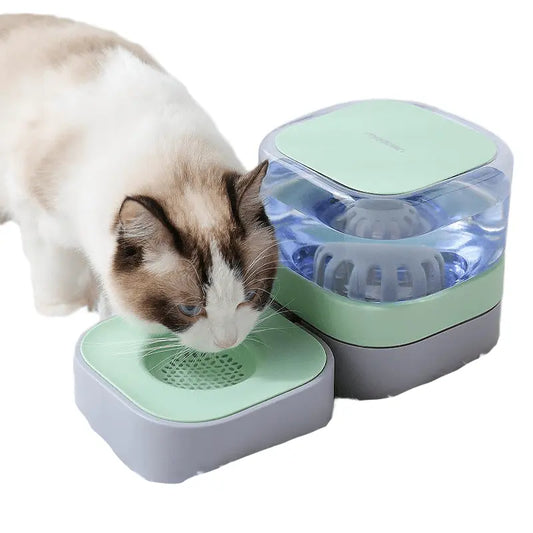 Fontaine à eau pour chat SquareCat Au bonheur du chat - Boutique d'accessoires pour votre chat