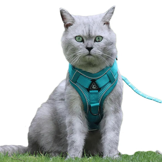 Harnais pour chat Trifecta Au bonheur du chat - Boutique d'accessoires pour votre chat