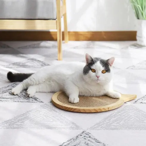 Griffoir pour chat Tête de chat à fixer par ventouses