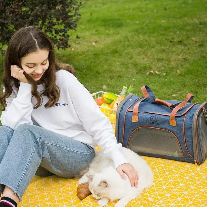 Sac de transport pour chat CarryCat™ Au bonheur du chat - Boutique d'accessoires pour votre chat