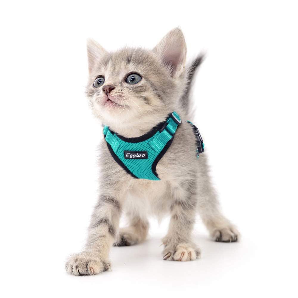 Harnais et laisse pour chat, ceinture de ceinture de sécurité lumineuse anti-évasion  Cat Vest, sangles de poitrine de chat réfléchissantes réglables avec boucle  anti-évasion, Cat Outdoor