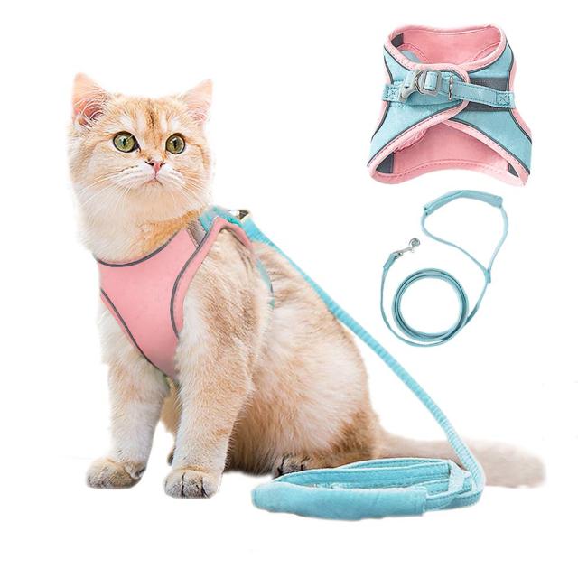 Harnais pour chat "Petit Aventurier"