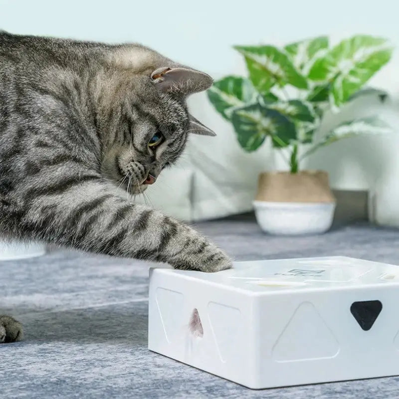 Jouet intelligent pour chat MagicBox™ Au bonheur du chat - Boutique d'accessoires pour votre chat