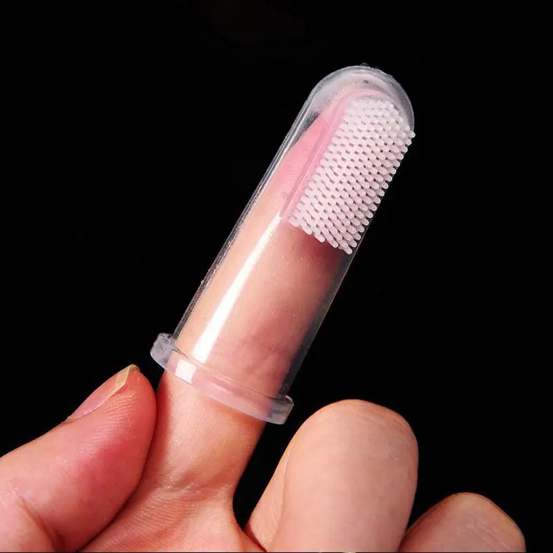 Brosse à dent pour chat accessoires chat Au bonheur du chat - Boutique d'accessoires pour votre chat 