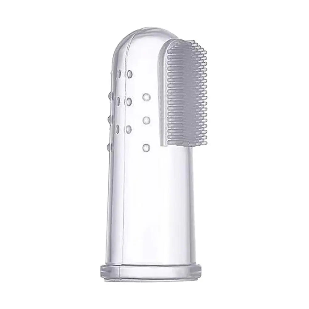 Brosse à dent pour chat accessoires chat Au bonheur du chat - Boutique d'accessoires pour votre chat 