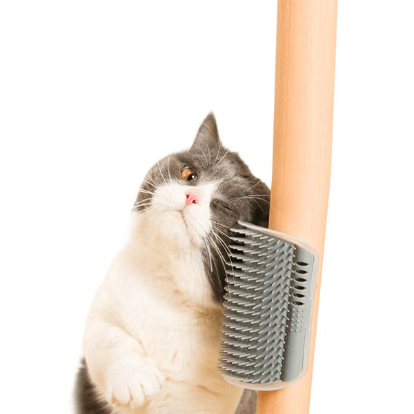 Brosse à gratter pour chat