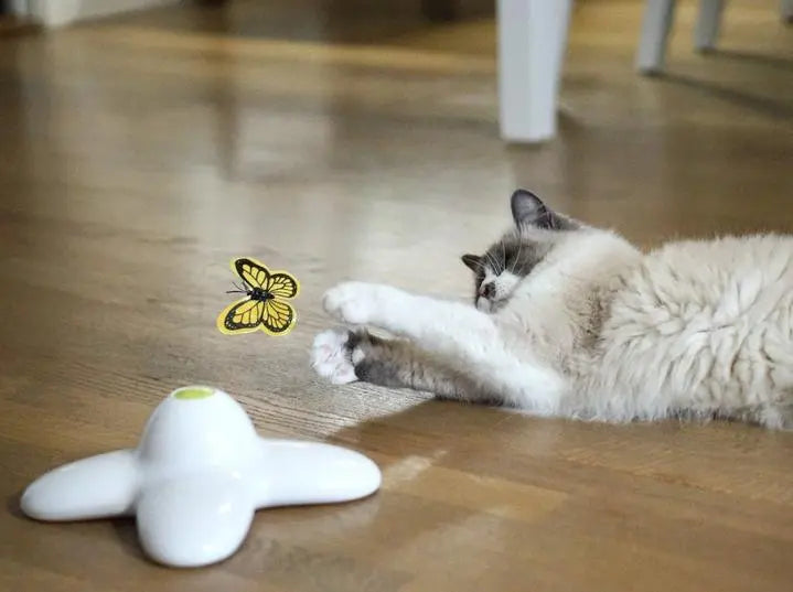 Jouet pour chat PapilloCat™ Au bonheur du chat - Boutique d'accessoires pour votre chat