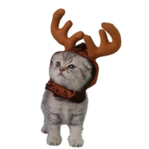 Cornes d'élan pour chat accessoires chat Au bonheur du chat - Boutique d'accessoires pour votre chat 