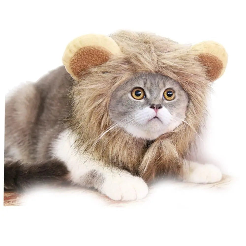 Costume pour chat "Lion" costume pour chat Au bonheur du chat - Boutique d'accessoires pour votre chat 
