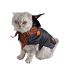 Costume pour chat "Sorcière" accessoires chat Au bonheur du chat - Boutique d'accessoires pour votre chat 