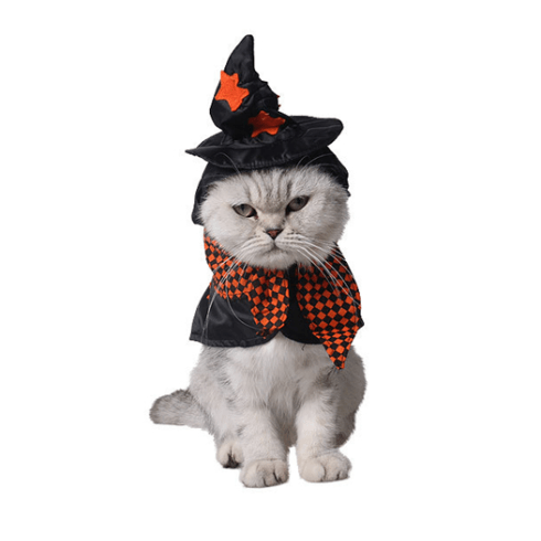 Costume pour chat "Sorcière" accessoires chat Au bonheur du chat - Boutique d'accessoires pour votre chat 