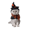 Costume pour chat "Sorcière" accessoires chat Au bonheur du chat - Boutique d'accessoires pour votre chat 