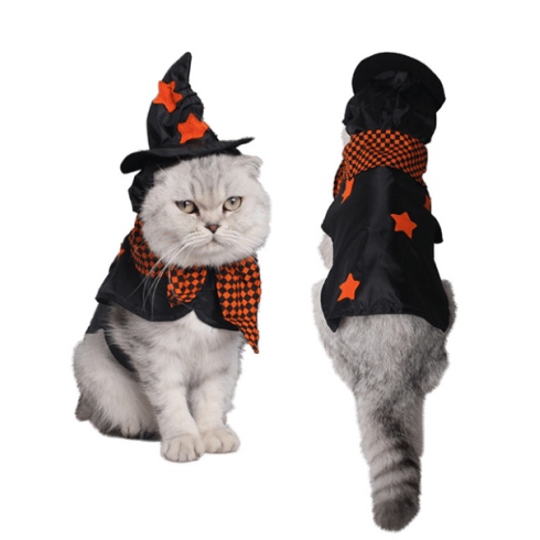Costume pour chat "Sorcière" accessoires chat Au bonheur du chat - Boutique d'accessoires pour votre chat 