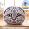 Coussin "Tête de chat" accessoires chat Au bonheur du chat - Boutique d'accessoires pour votre chat Variante 4 40cm 