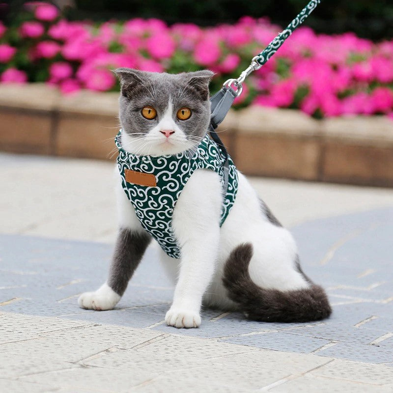 Harnais pour chat CattyWave