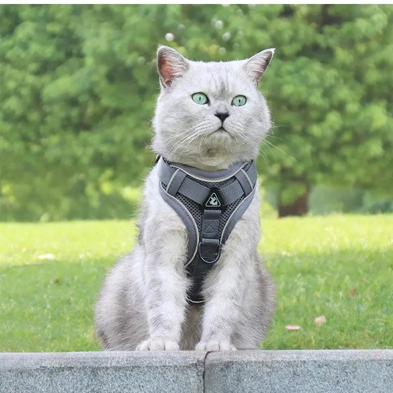 Harnais pour chat Trifecta Au bonheur du chat - Boutique d'accessoires pour votre chat
