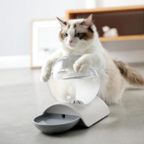 fontaine à eau pour chat grise, saine et silencieuse, élégante, au bonheur du chat