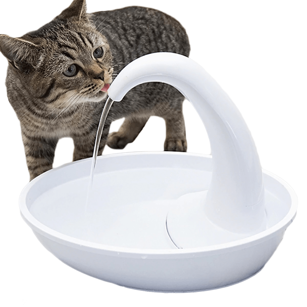 Fontaine à eau pour chat Doux éclat – Au bonheur du chat - Boutique  d'accessoires pour votre chat et pour vous
