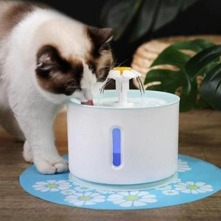 fontaine à eau pour chat, saine et silencieuse, élégante, au bonheur du chat