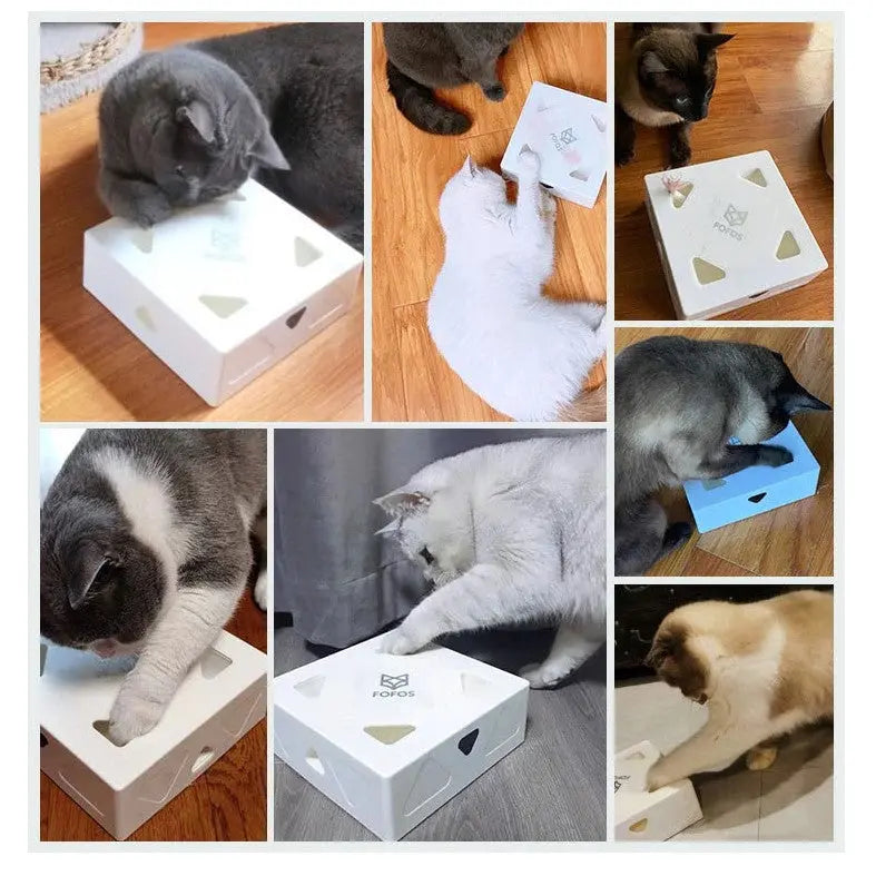 Jouet intelligent pour chat MagicBox™ Au bonheur du chat - Boutique d'accessoires pour votre chat