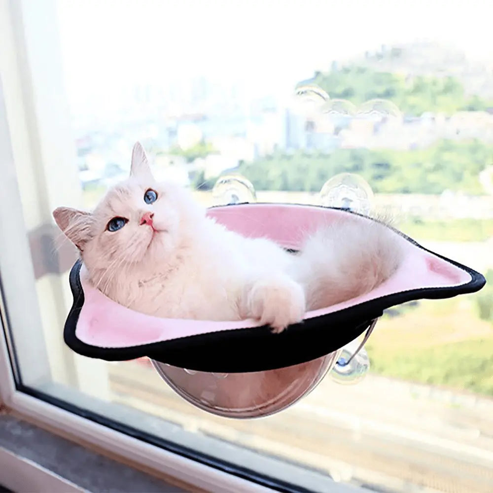 Hamac de fenêtre transparent "Tête de chat" hamac pour chat Au bonheur du chat - Boutique d'accessoires pour votre chat 