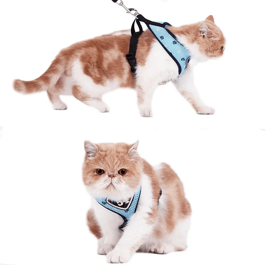Harnais pour chat "54" accessoires chat Au bonheur du chat - Boutique d'accessoires pour votre chat 