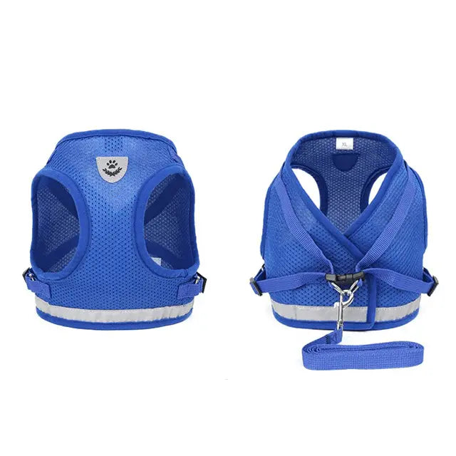 Harnais pour chat avec bande luminescente de sécurité harnais pour chat Au bonheur du chat - Boutique d'accessoires pour votre chat 